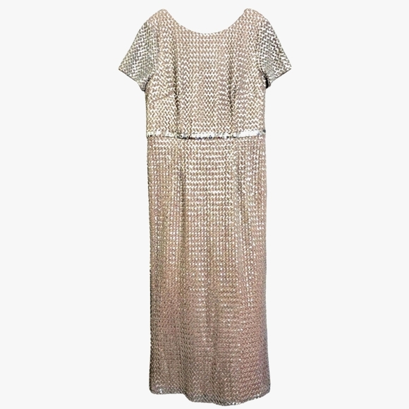 Nwot Adrianna Pappel Shortsleeve Silver Sequin Luxe Mesh/Tan Column Form… - Picture 16 of 17